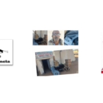 Finalización proyecto ASAVIM 2025